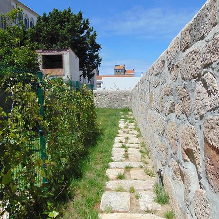 Liiiving In Porto | Central Garden Flat Bagian luar foto
